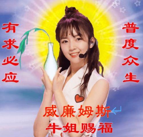 牛姐爆料陈安视频大全,揭秘网络传闻背后的真相  第2张